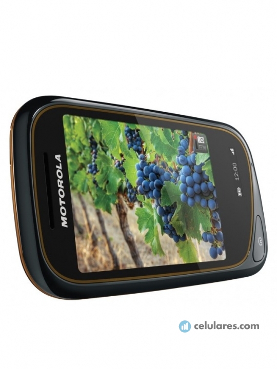Imagen 3 Motorola Wilder