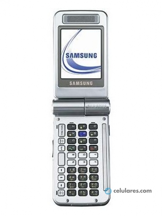 Samsung D300