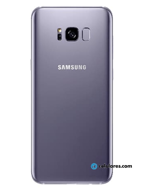 Imagen 7 Samsung Galaxy S8