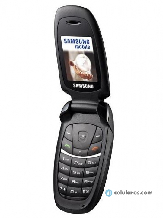 Samsung SGH-C520