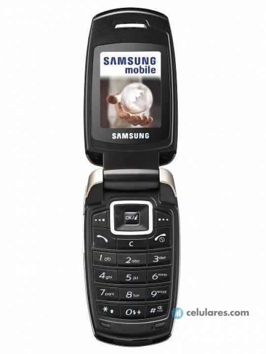 Samsung X500