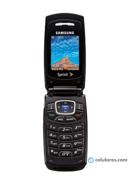 Samsung SPH-A420