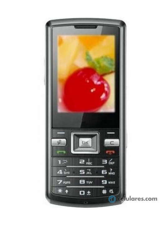 Samsung W299 Duos