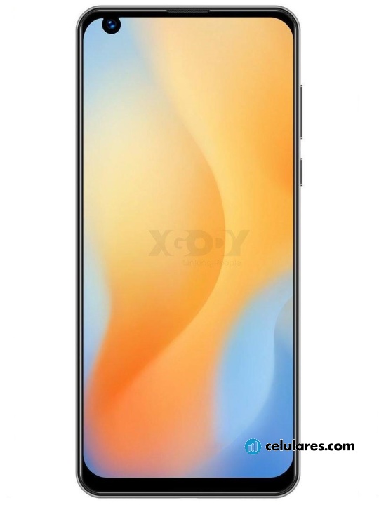 Xgody P40